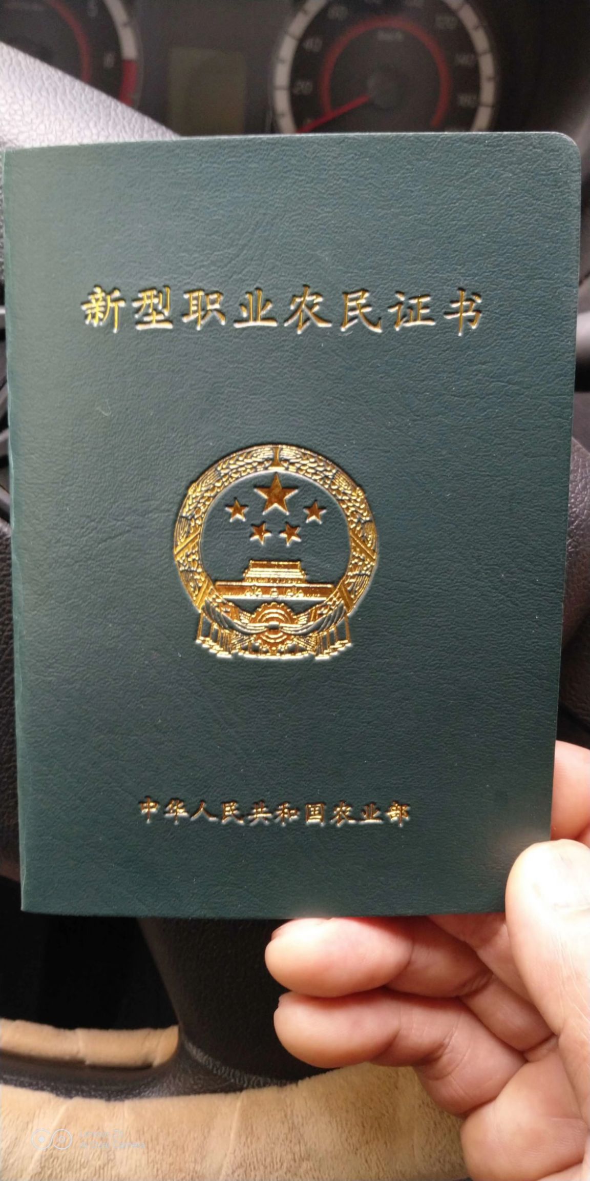 线椒苗 大型基地育苗直供，欢迎新老客户惠顾。