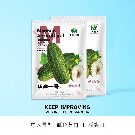 夏邑县华洋一号甜瓜种子 黄绿皮乳白细腻瓤色黄白，酥脆多汁基地种植