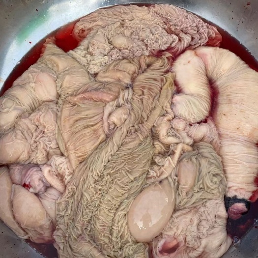 东阿县大量供应东阿阿胶天龙驴肉驴肚