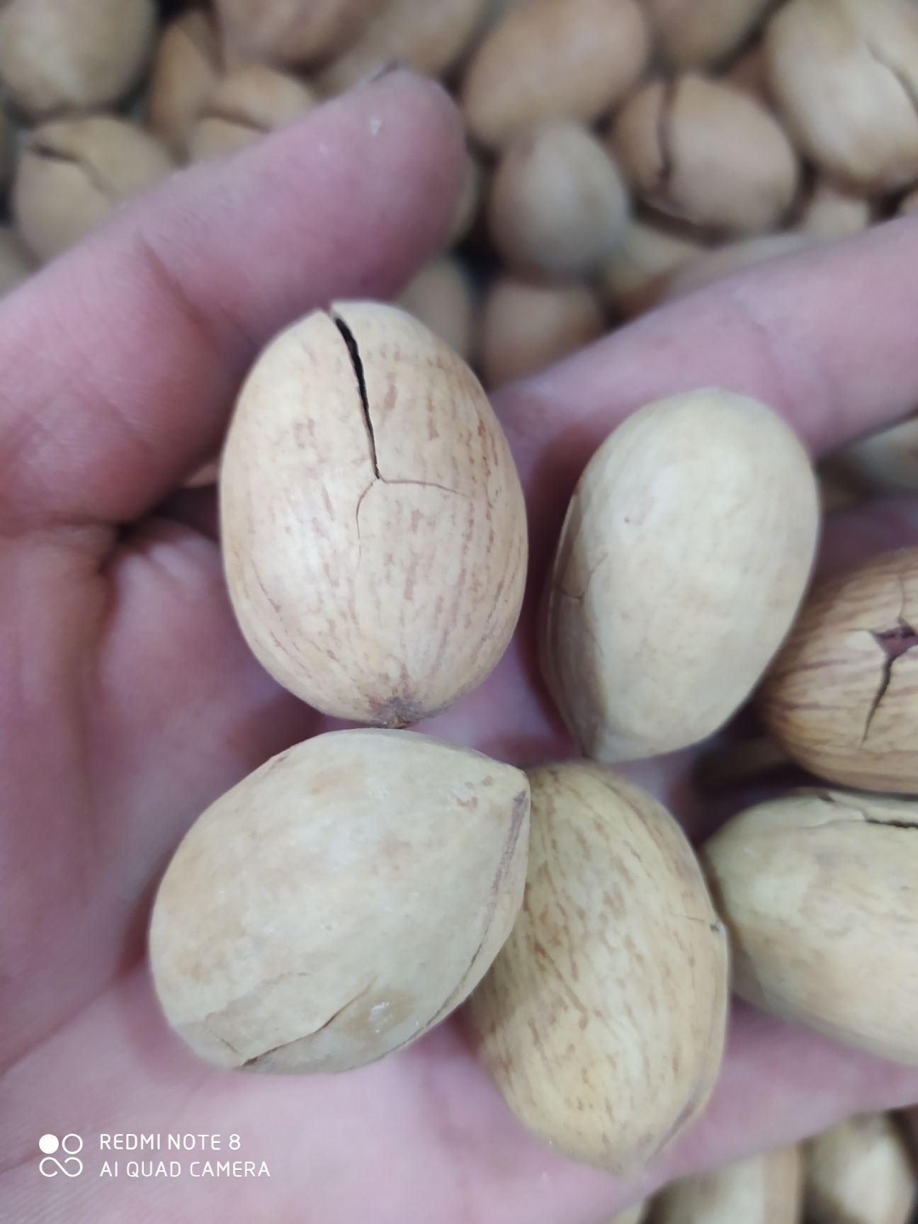 碧根果，一手批发，量大从优。20斤