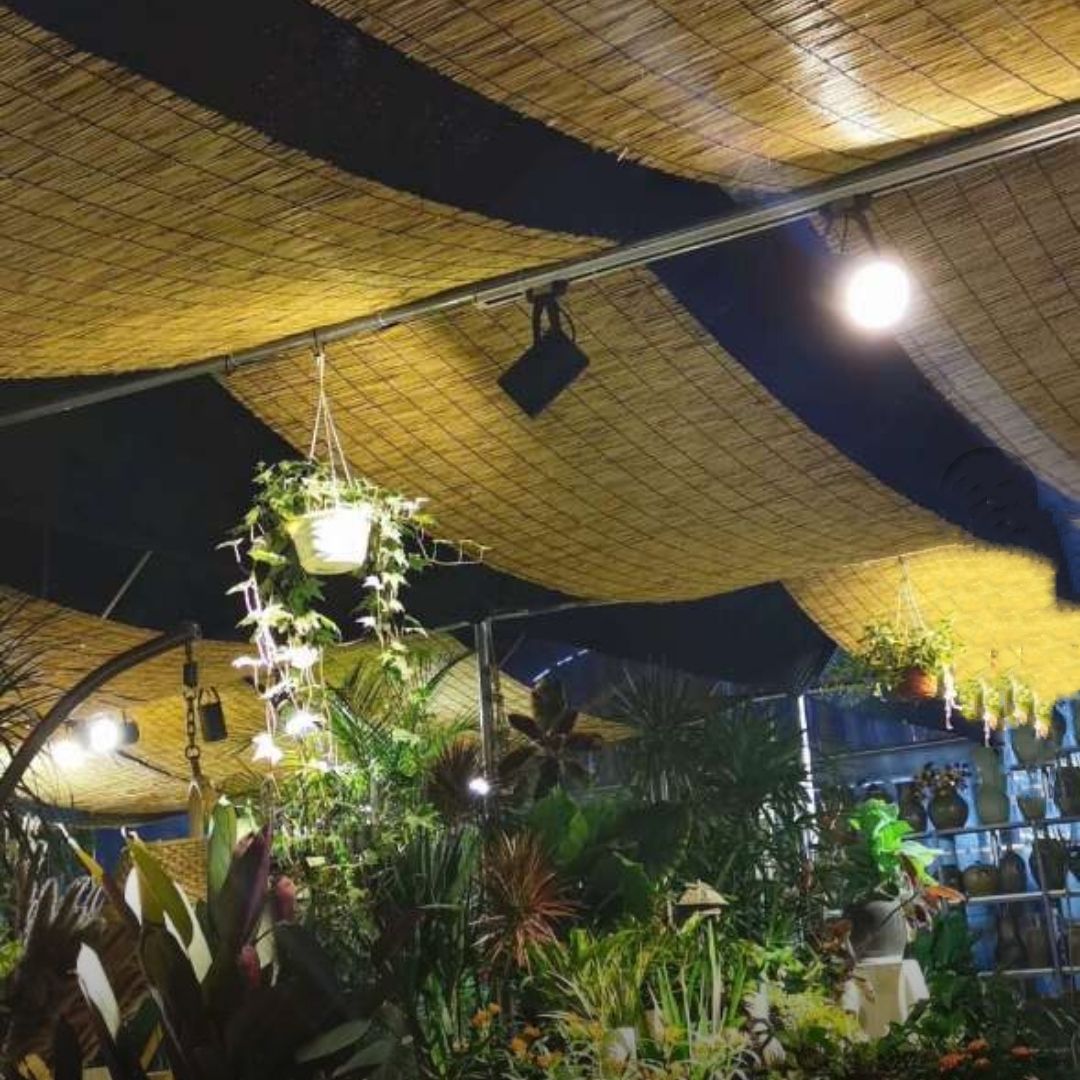 无棣芦苇帘 手工编制 支持裁剪30米大卷批发