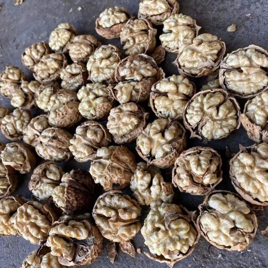 攀枝花薄皮核桃  攀枝花薄皮干核桃