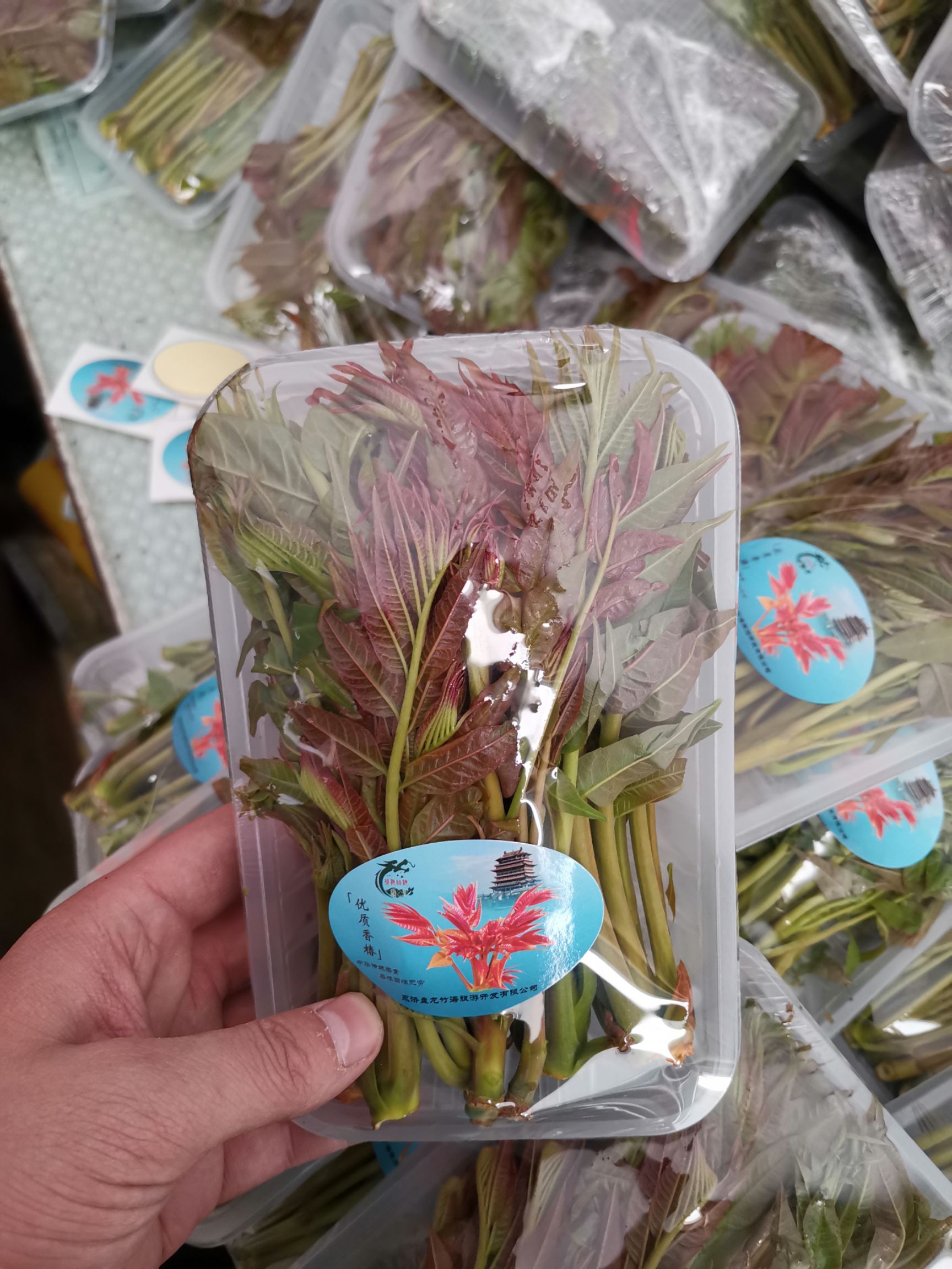 绿香椿芽 红油香椿芽