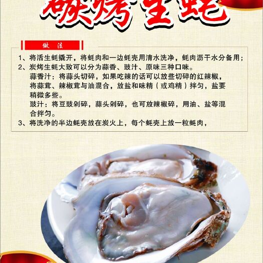 青岛净化蚝  生蚝
