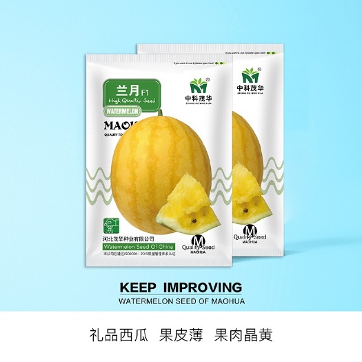 兰月礼品西瓜种子 高圆黄皮黄肉，汁多爽口，采摘园基地种植