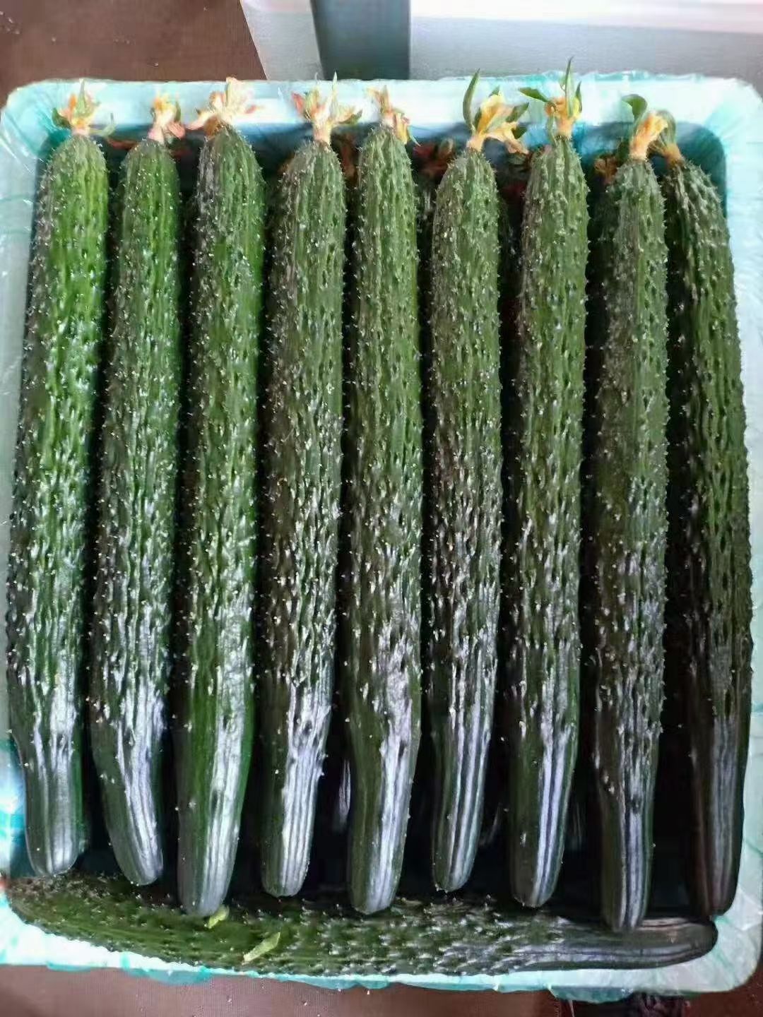  闻韶田园 刺黄瓜