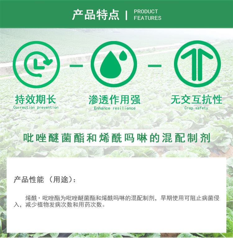增威赢特60.6%氟噻唑吡乙酮代森锰锌黄瓜霜霉病晚疫病农药