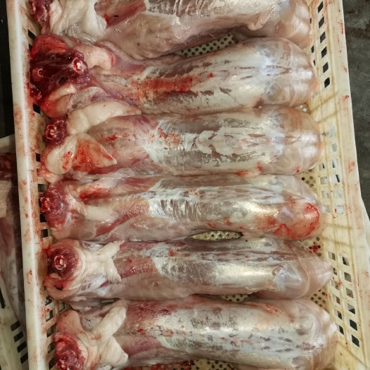供应现杀放血带皮（去皮）生鲜，冷冻兔肉
