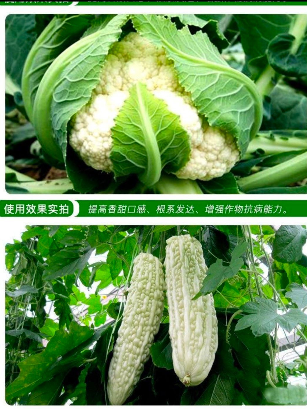 大量元素水溶肥  大量元素肥料  膨果冲施水溶肥