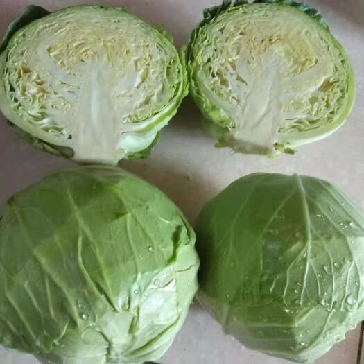 宁城县圆包菜  甘蓝产地直销大量上市