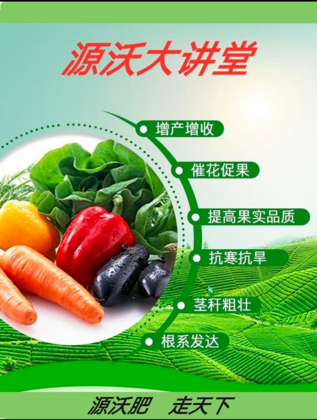 大量元素水溶肥  大量元素肥料  膨果冲施水溶肥