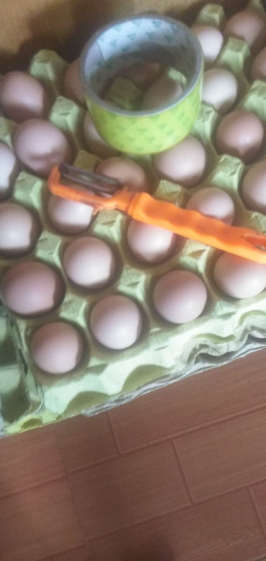 七个月以上的散养土鸡