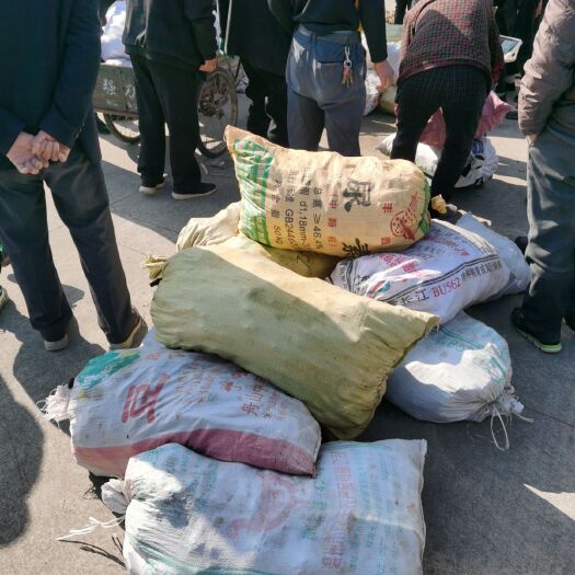 乐清市新鲜姜黄