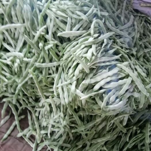 宁城县架豆王豆角 豆角产地直销大量上市