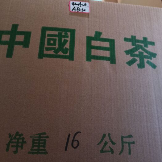 福州 白茶，寿眉，好喝的白茶，回甘
