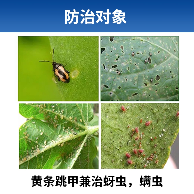 得速乐啶虫脒+哒螨灵小白菜叶菜跳甲虫专用兼治红蜘蛛蚜虫杀虫剂