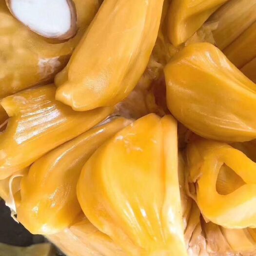 乐东县菠萝蜜树菠萝多肉脆甜干包