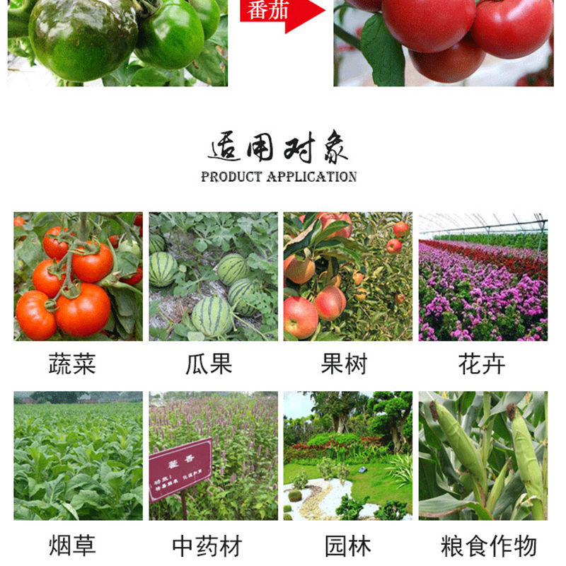 浓甜氟吡菌胺.精甲霜灵蔬菜白锈病霜霉病葡萄马铃薯晚疫病杀菌剂