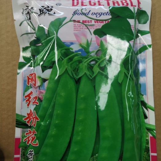 粉花荷兰豆种子 小荚豆种子 云南蔬菜基地甘肃冷凉菜主栽品种
