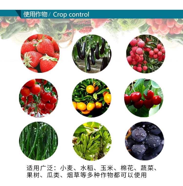 浓甜氟吡菌胺.精甲霜灵蔬菜白锈病霜霉病葡萄马铃薯晚疫病杀菌剂