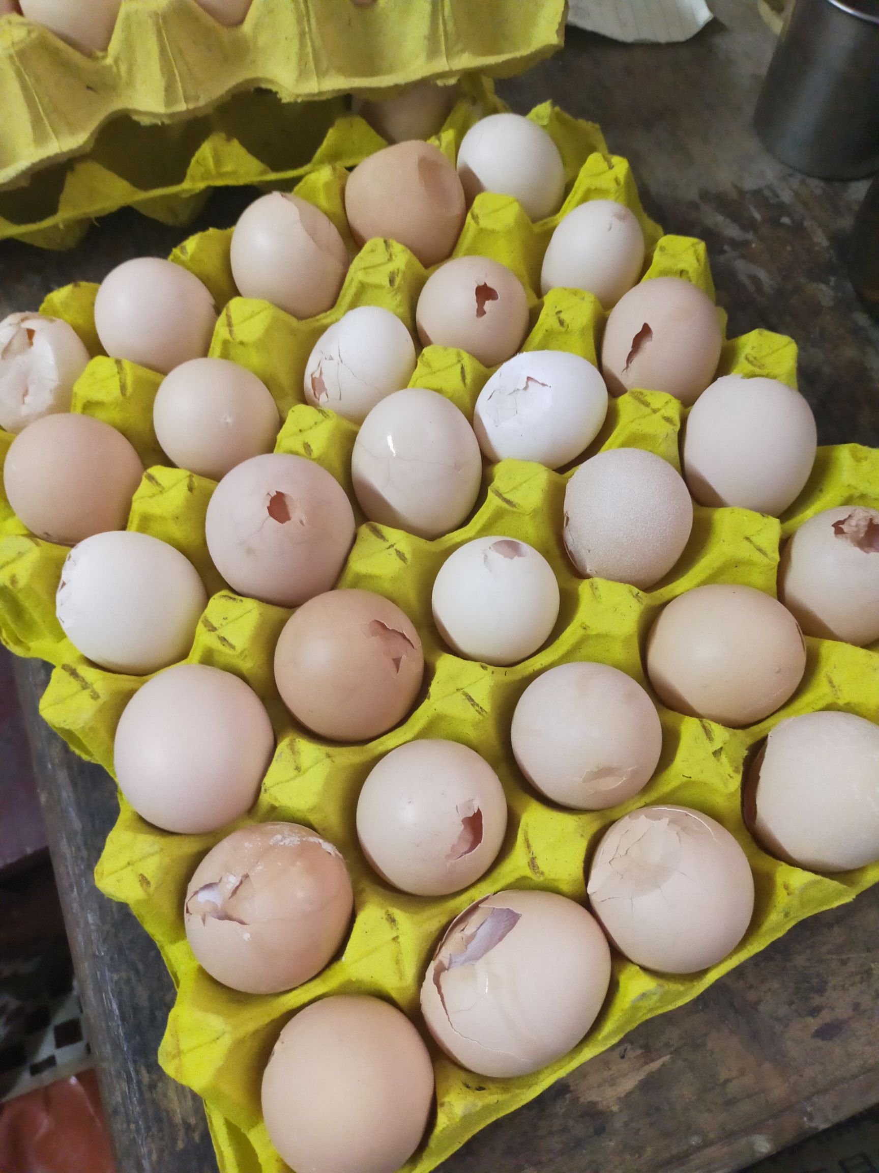 粉壳蛋 破鸡蛋