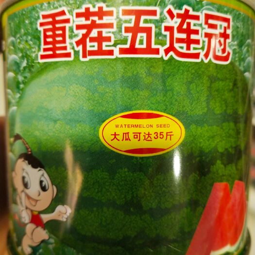 扶沟县重茬西瓜种子  详细介绍请看包装说明，谢谢