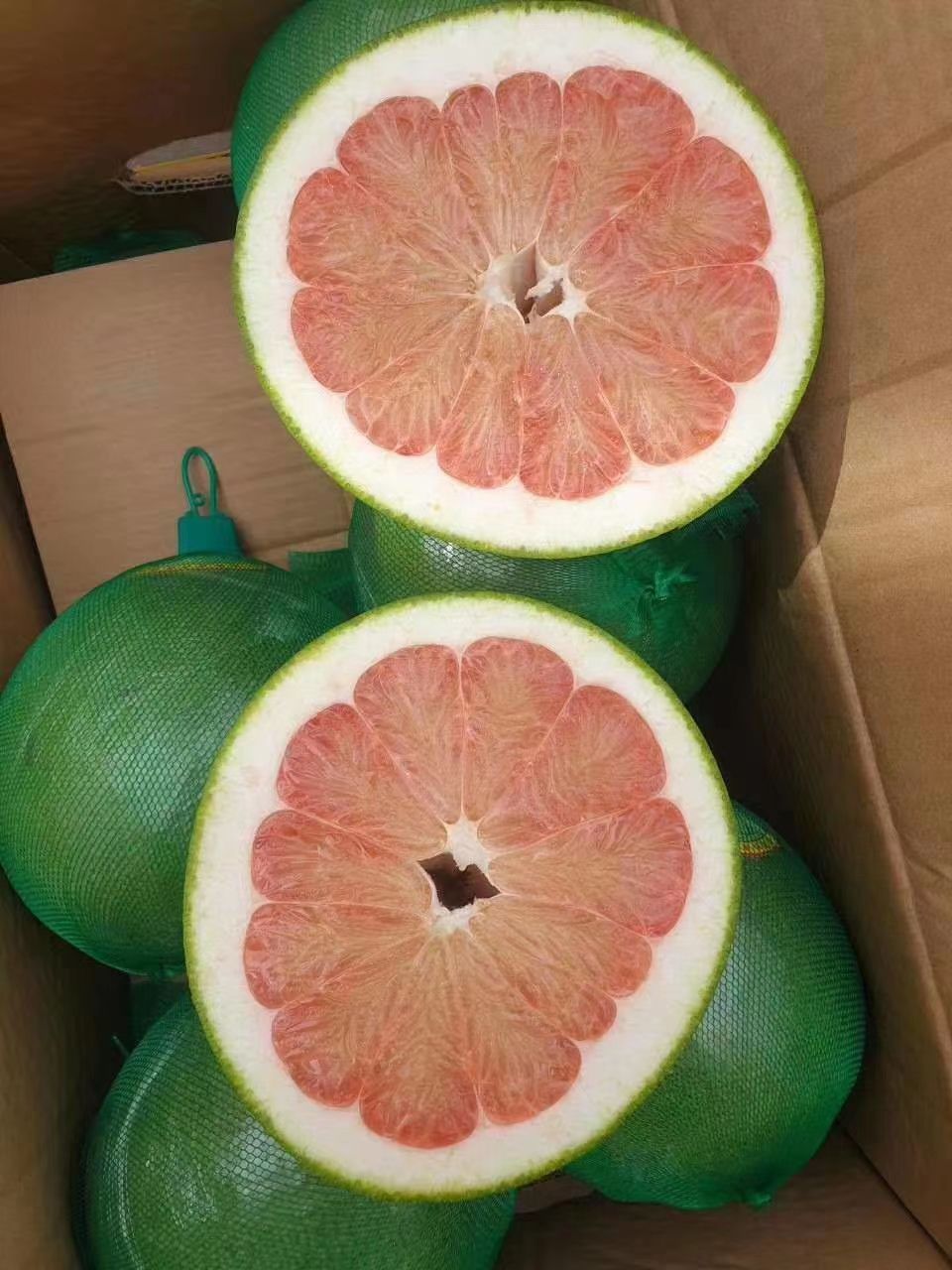 青柚 一级果 