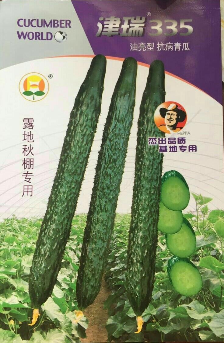 津瑞335抗热津瑞335青瓜：露地、越夏和秋棚专用型油绿黄瓜