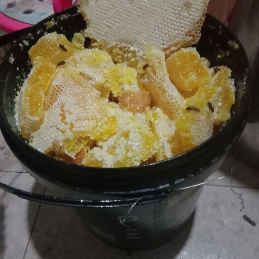 清镇市百花蜜 土蜂蜜出售，假一罚百