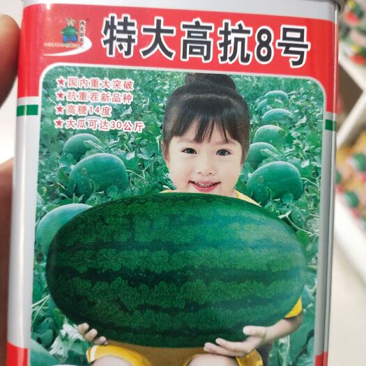 扶沟县郑抗8号西瓜种子 大红瓤，含糖量14度皮薄而韧不裂瓜,不空心