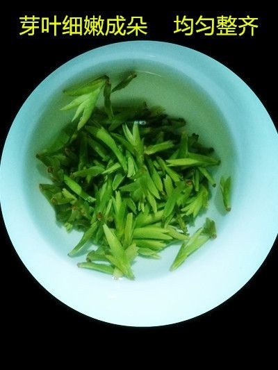 三江县绿茶 龙井扁茶