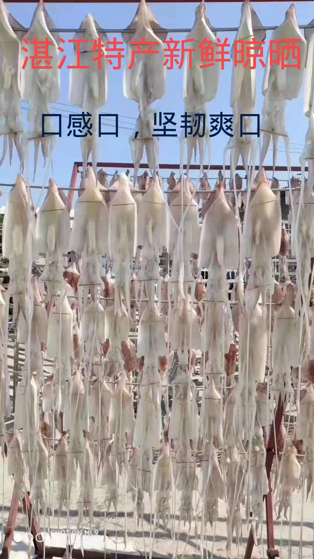 鱿鱼干，烧烤
，湛江特产，手撕鱿鱼干，调味，煮粥，