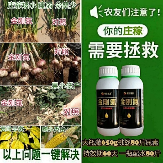 商丘金刚氮液体氮肥代替肥料免追肥长效缓释水稻小麦玉米生根壮苗抗逆
