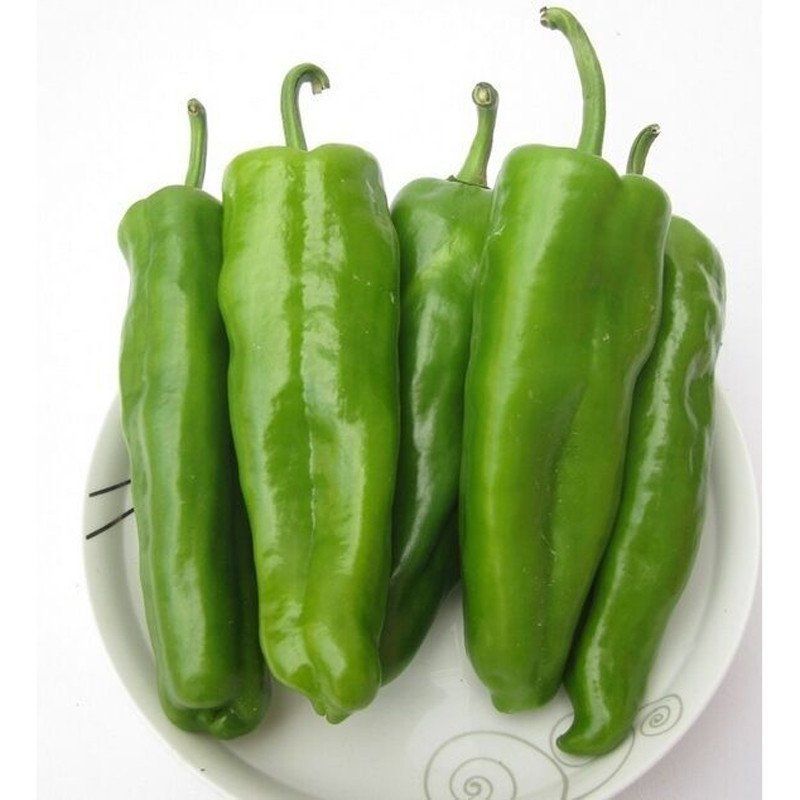 [羊角椒苗批发]羊角椒苗,牛角椒苗,泡椒苗苗价格0.