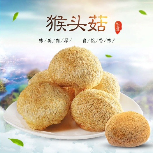 干猴頭菇  大興安嶺原產(chǎn)猴頭菇