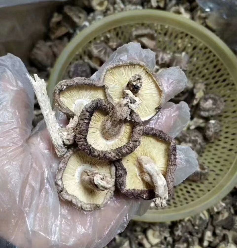 椴木菇 连州深山椴木香菇（粤北山区，干品）