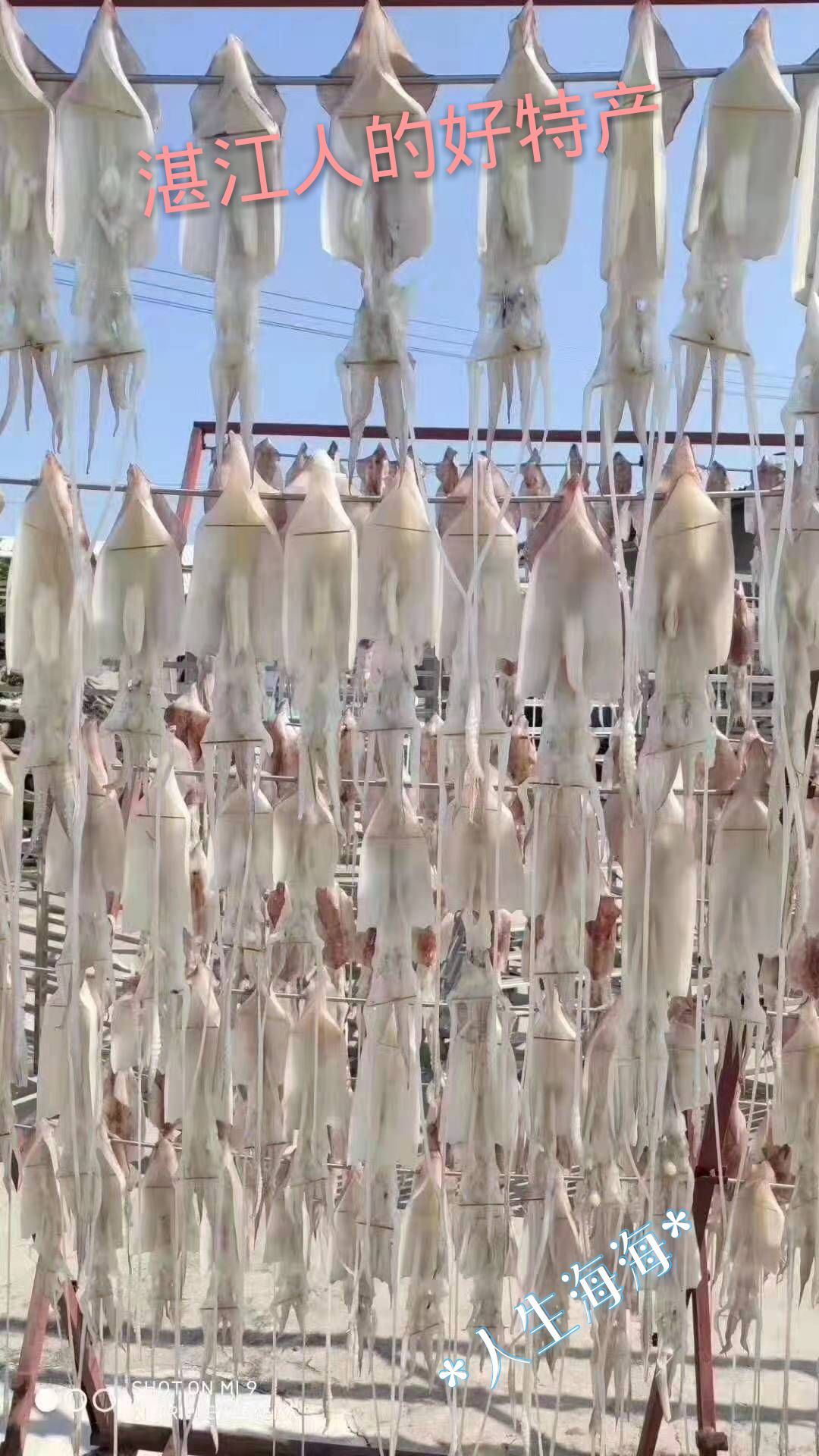 鱿鱼干，烧烤
，湛江特产，手撕鱿鱼干，调味，煮粥，