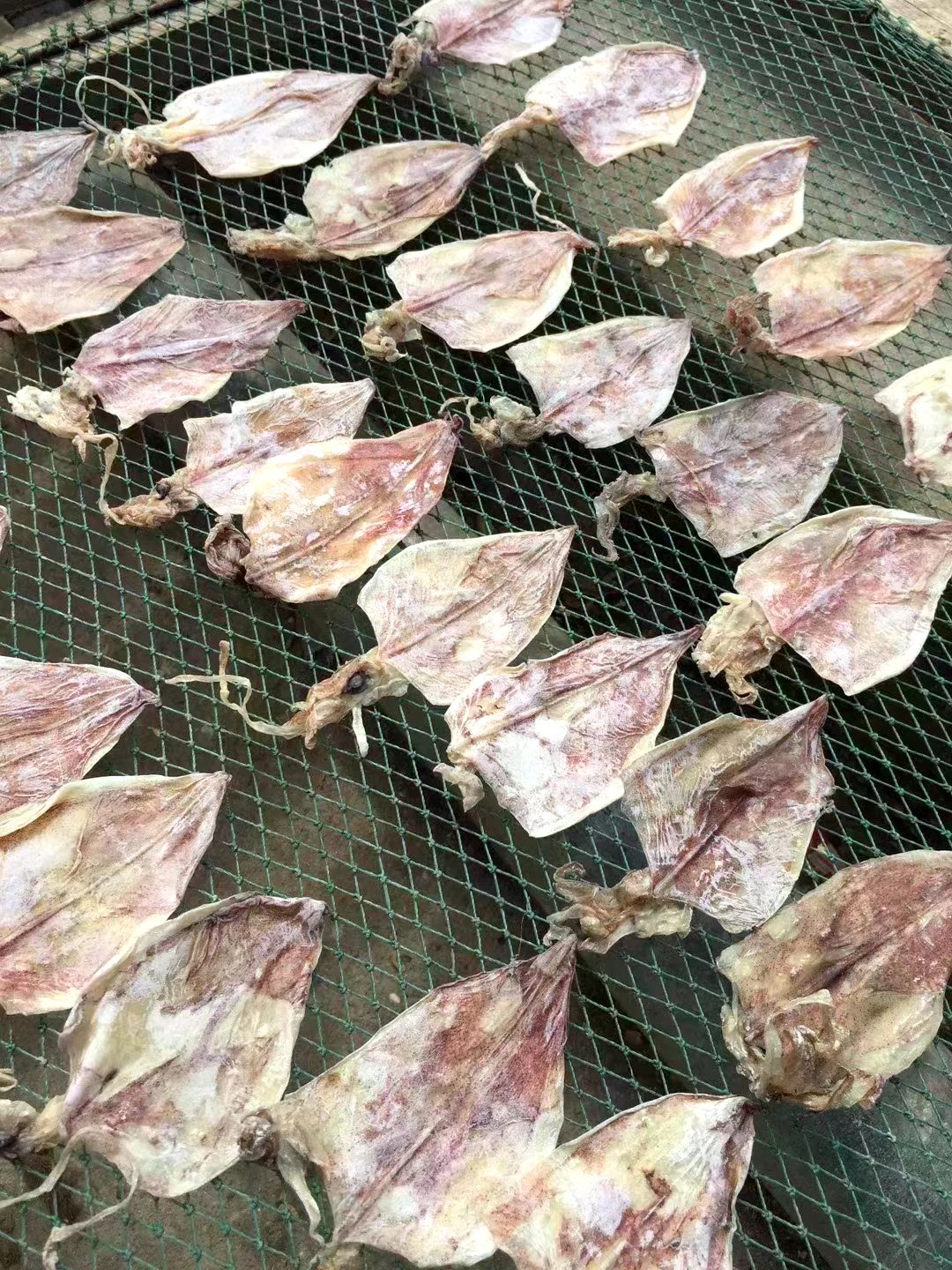 鱿鱼干，烧烤
，湛江特产，手撕鱿鱼干，调味，煮粥，