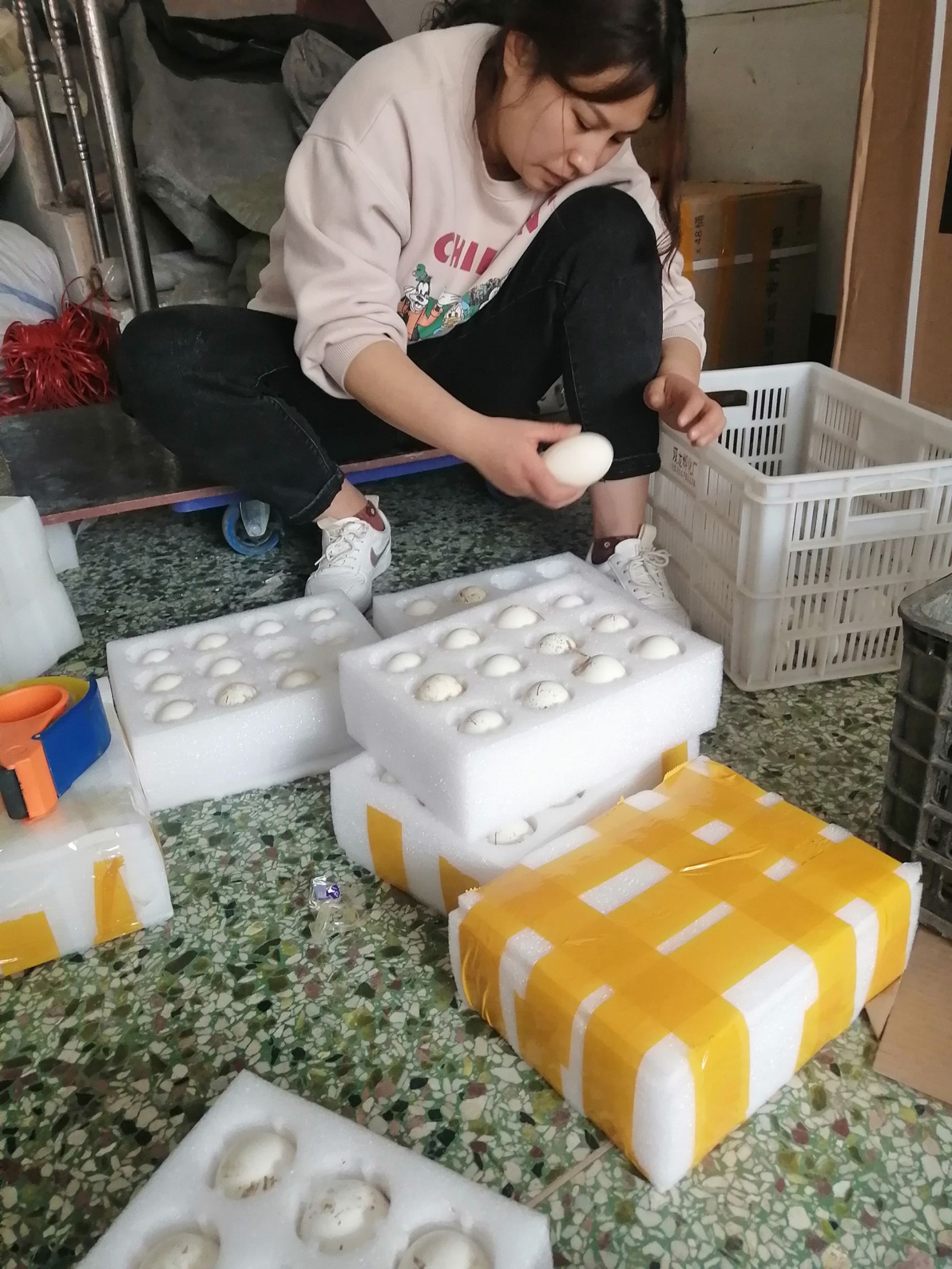 鹅蛋   新鲜鹅蛋  纯农家养殖   口感好   个头大