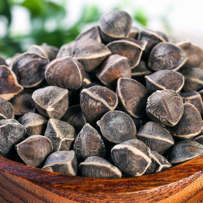 辣木籽   正品   各种规格   颗粒饱满   包邮