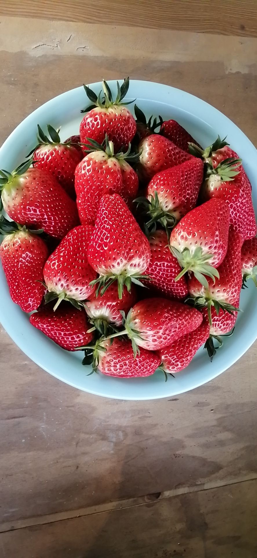 甜宝草莓特级果