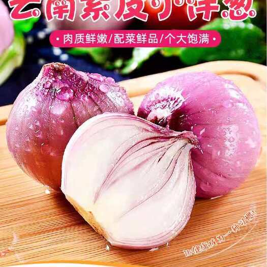 瑞丽市 红皮洋葱  紫红皮洋葱产地批发零售