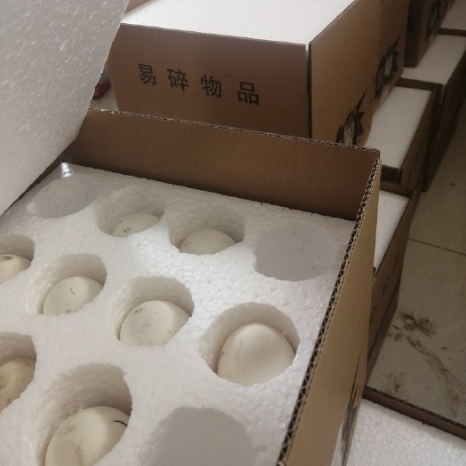 嘉祥县鹅蛋   新鲜鹅蛋  纯农家养殖   口感好   个头大