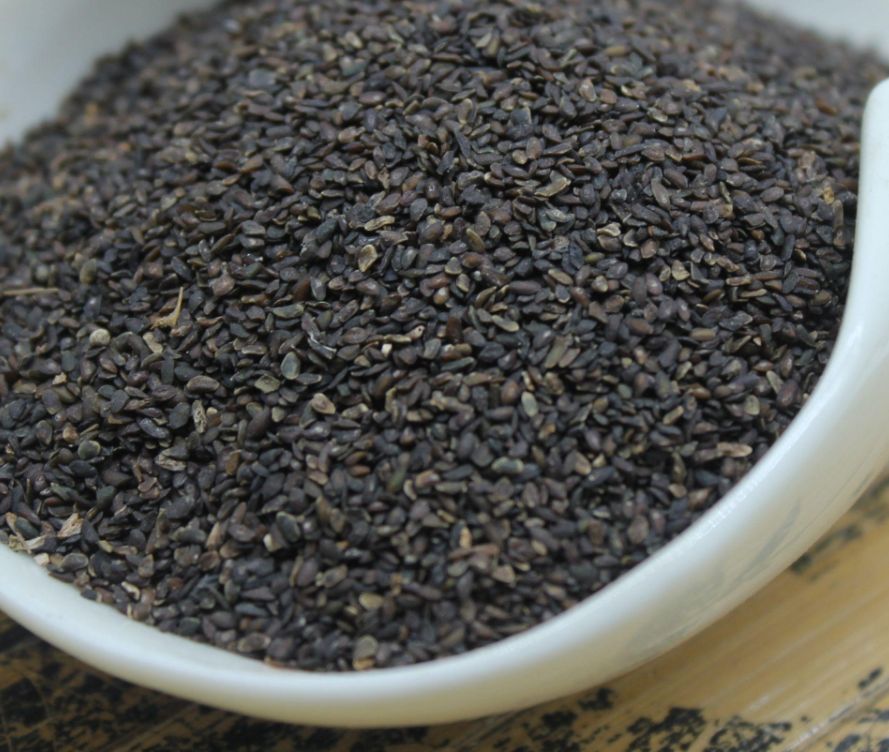 新产中药材车前草种子 车前子 ，10斤以上非边远地区包邮，