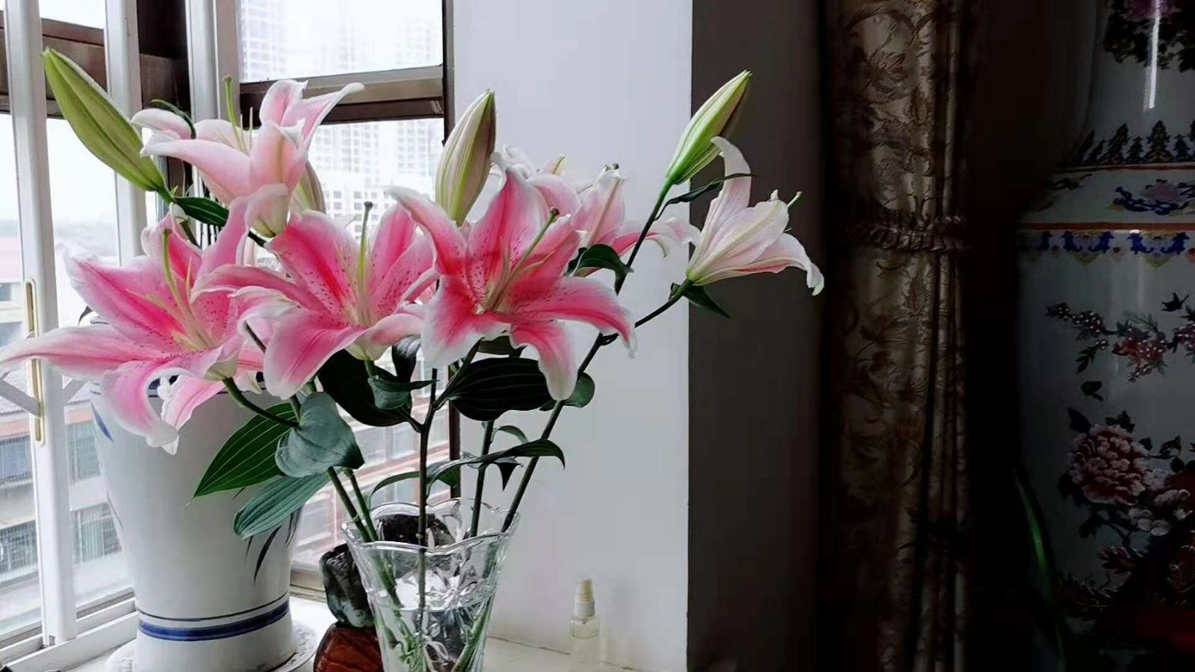 全新鲜花云南基地直发家用水养花束香水百合花直批