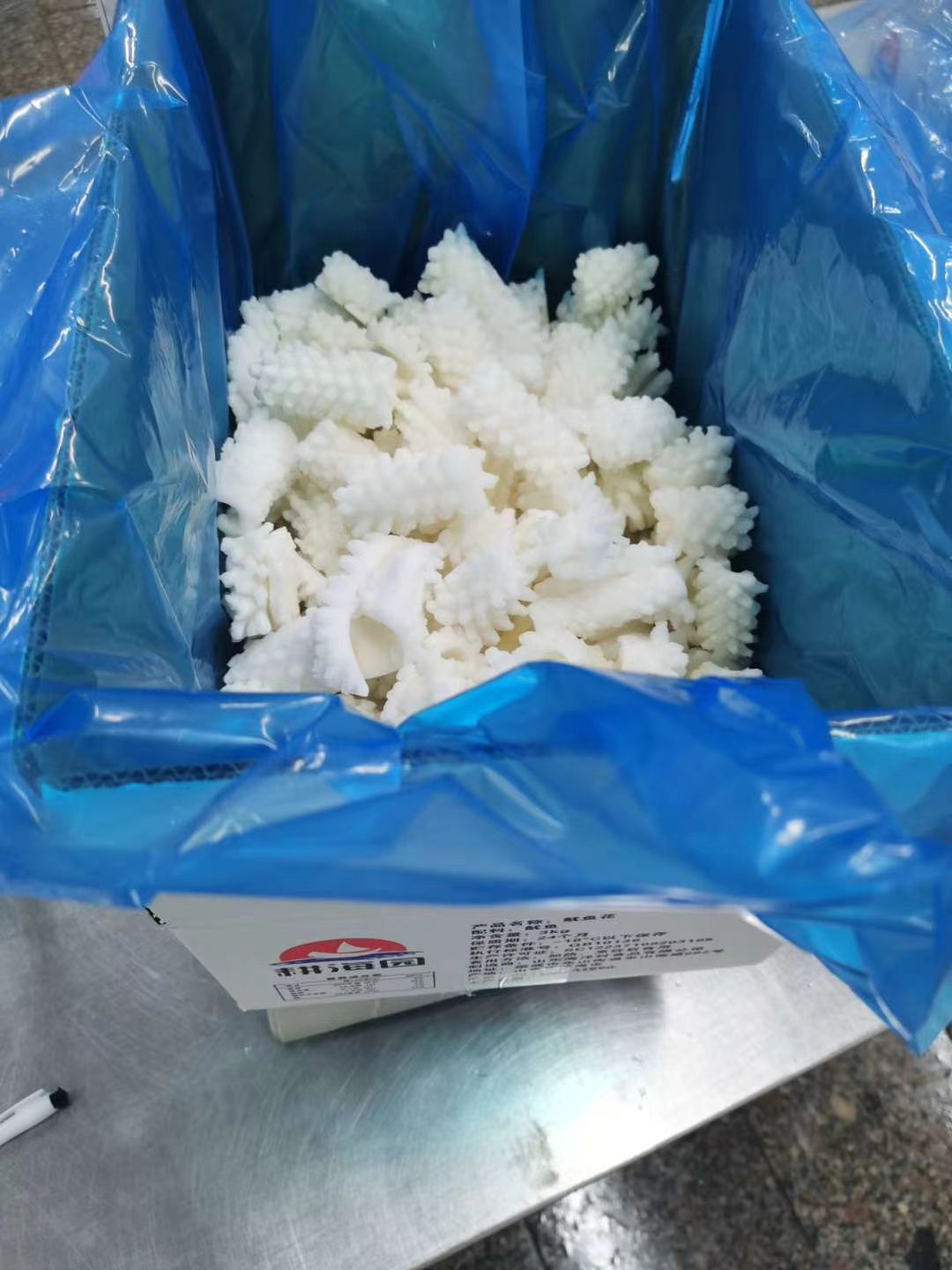 鱿鱼花目鱼花
