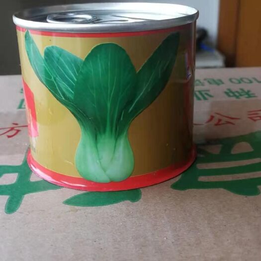 夏邑县青梗菜种子 夏秋莳生长快品质优矮脚型株型美观束腰性好适