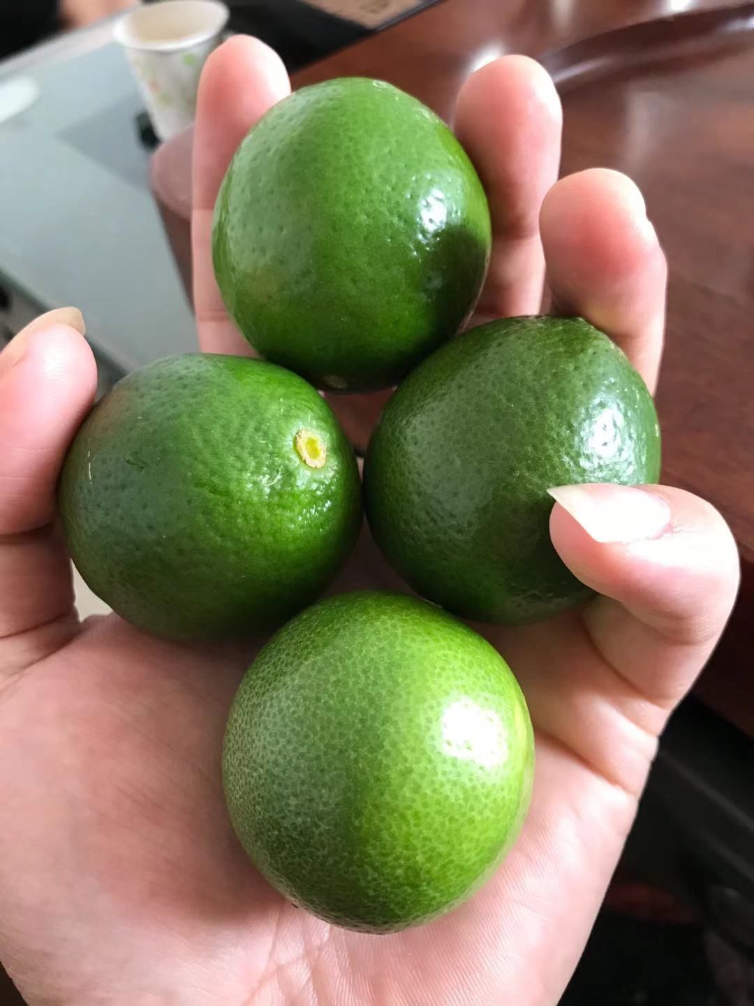 香水柠檬  越南青柠檬大量供应