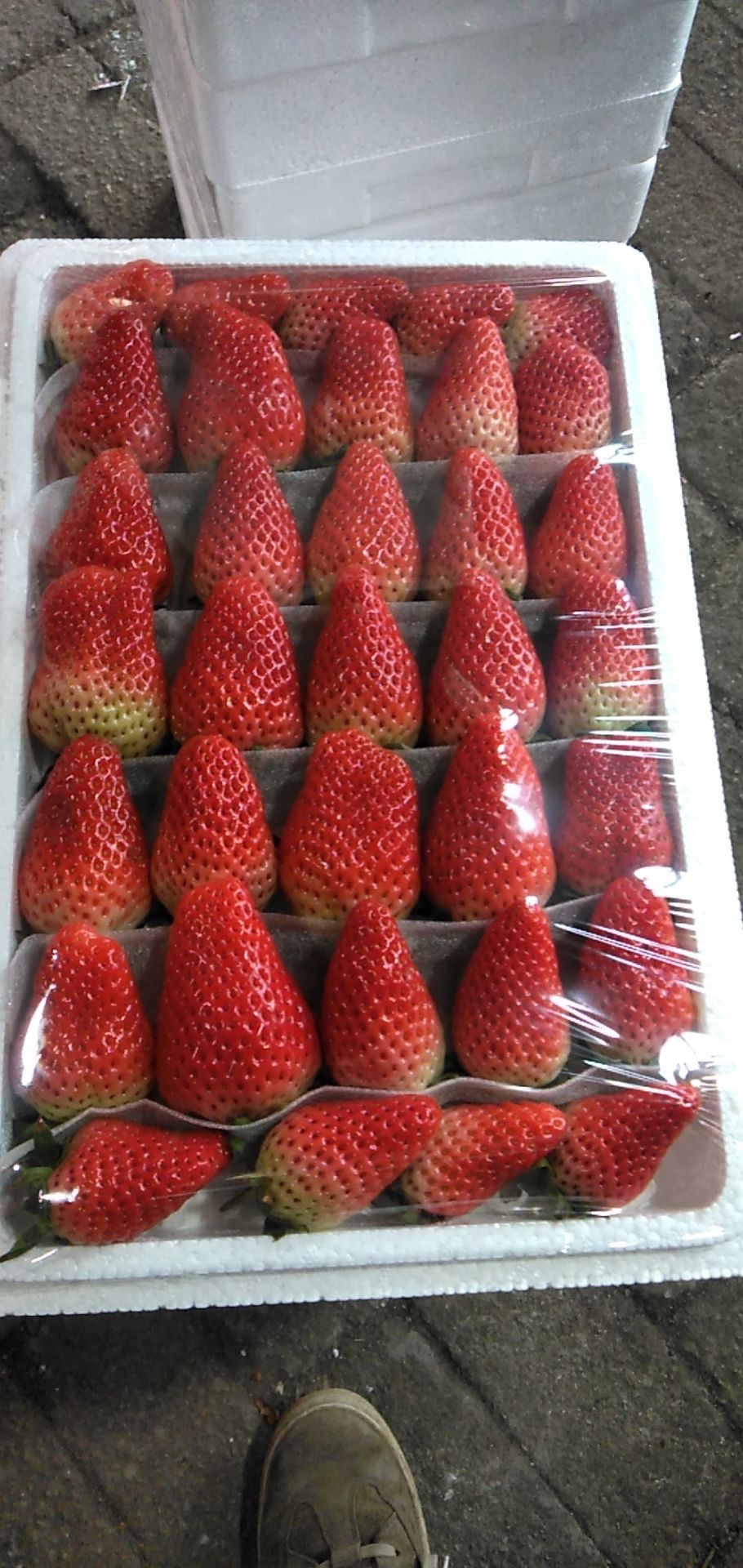 奶油草莓 一级果