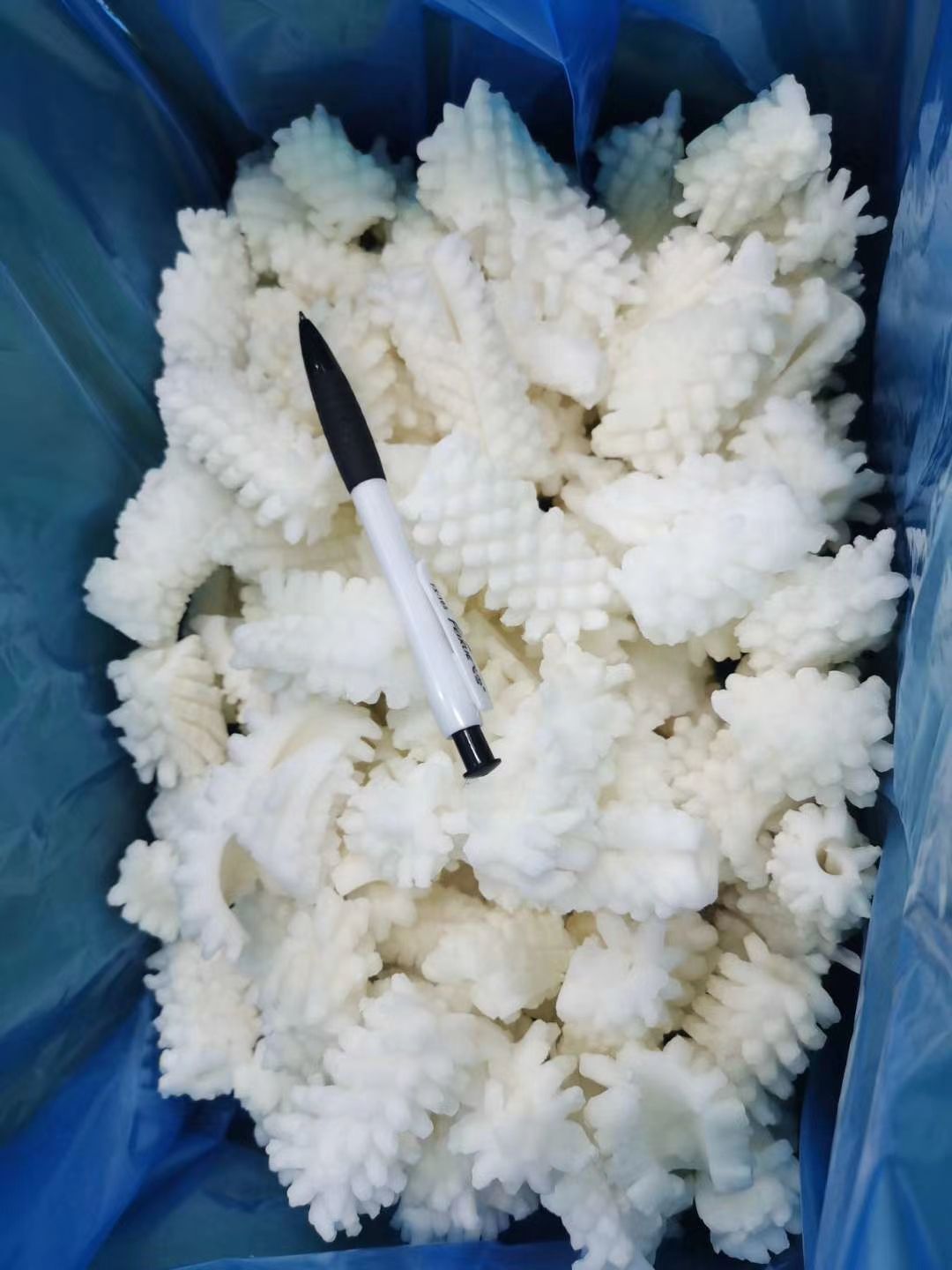 鱿鱼花目鱼花